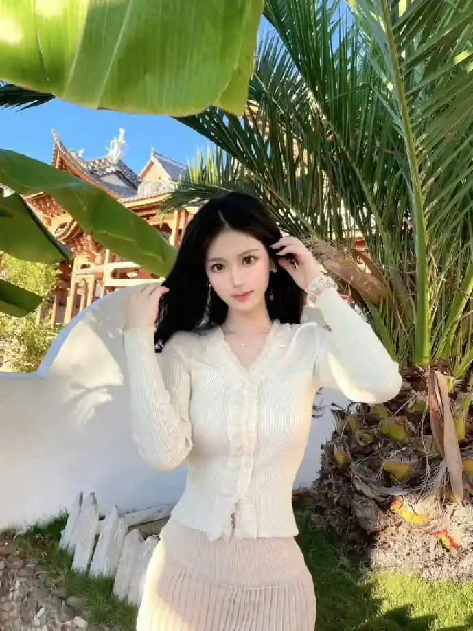 汽车金融市场数据